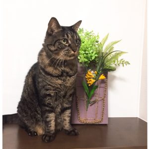 簡単に作れてインスタ映え！！ペットを飼っているご家庭にも最適？！　まち針ストリングアートで作る花瓶作品集です。